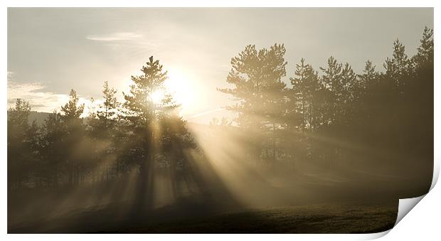 Sunrise bursting through trees and mist Print by Ian Middleton