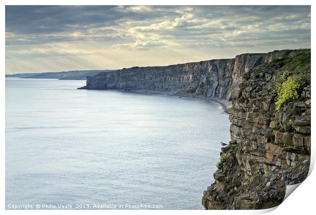 Nash Point and The Lone Lookout. Print by Philip Veale