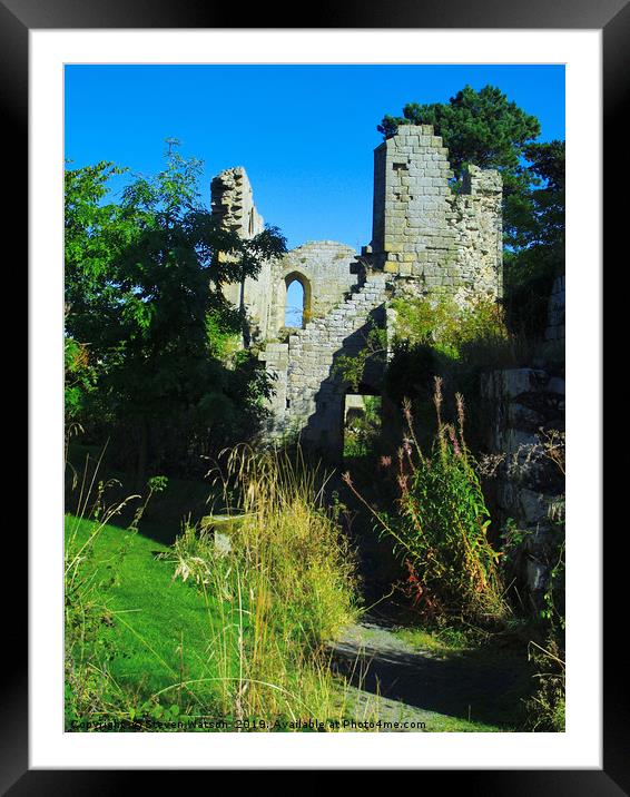 At Jervaulx Abbey Framed Mounted Print by Steven Watson