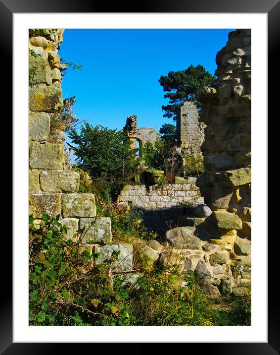 At Jervaulx Abbey Framed Mounted Print by Steven Watson