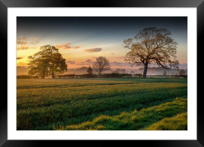 Farmland sunrise and trees landscape Framed Mounted Print by Simon Bratt LRPS