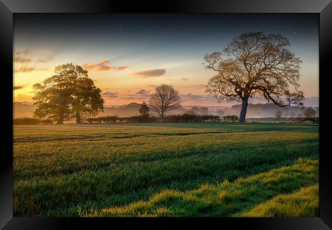 Farmland sunrise and trees landscape Framed Print by Simon Bratt LRPS