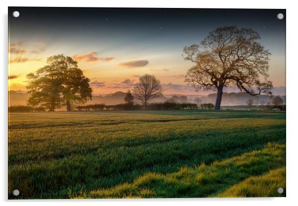 Farmland sunrise and trees landscape Acrylic by Simon Bratt LRPS