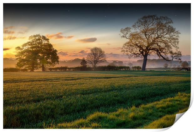 Farmland sunrise and trees landscape Print by Simon Bratt LRPS