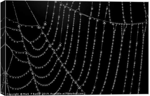 Ring Light ,Spider Web , Dew Drops. Canvas Print by Mark  F Banks