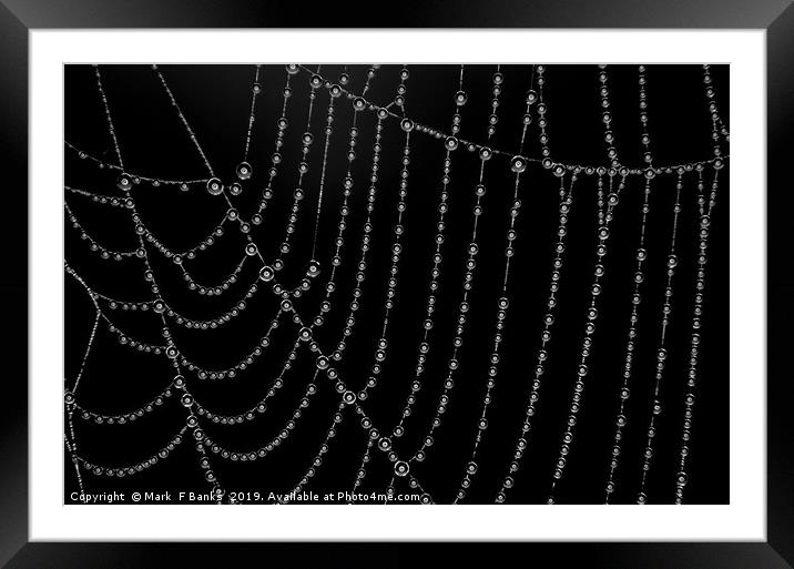 Ring Light ,Spider Web , Dew Drops. Framed Mounted Print by Mark  F Banks