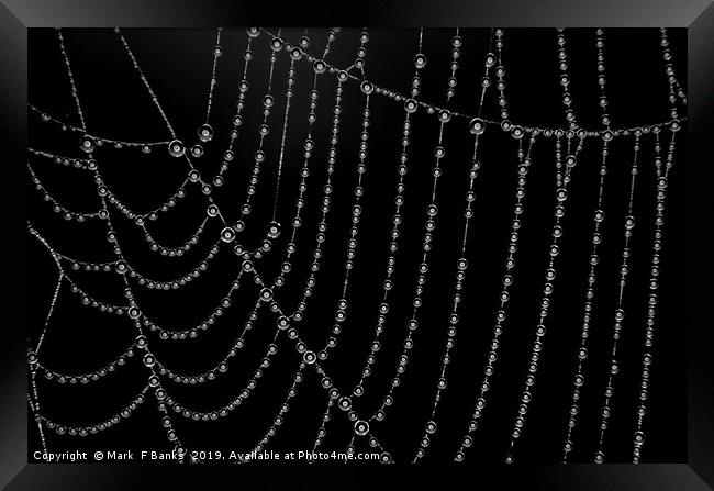 Ring Light ,Spider Web , Dew Drops. Framed Print by Mark  F Banks