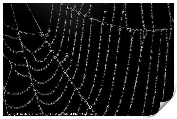 Ring Light ,Spider Web , Dew Drops. Print by Mark  F Banks