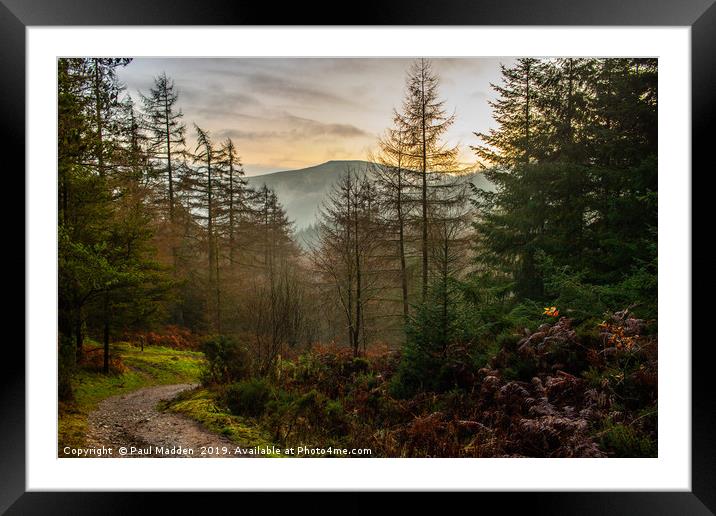 Moel Famau Forest Path Framed Mounted Print by Paul Madden