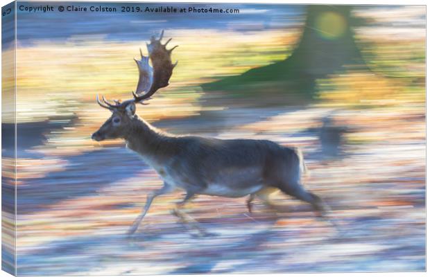 Running Deer Canvas Print by Claire Colston