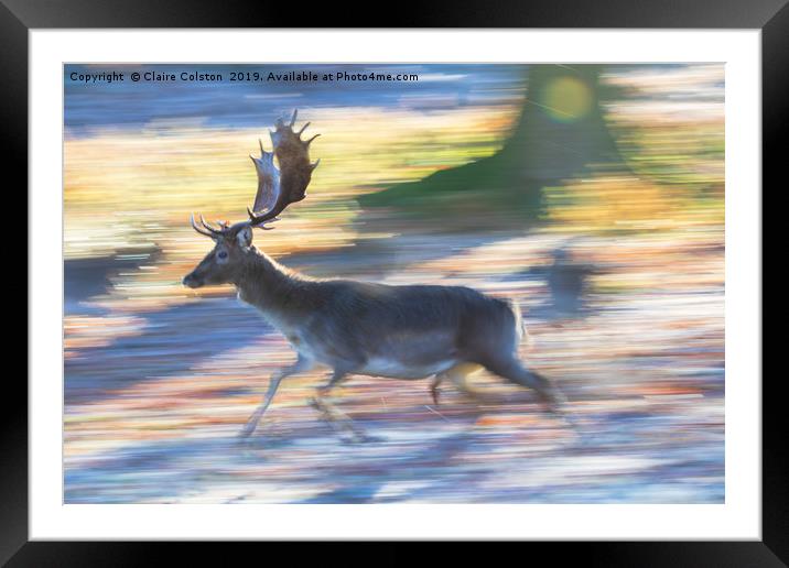 Running Deer Framed Mounted Print by Claire Colston
