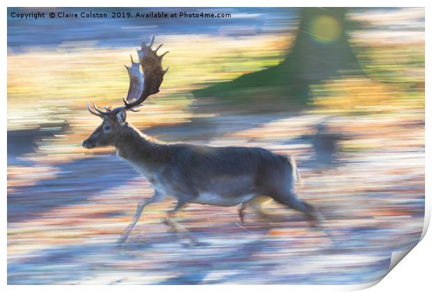 Running Deer Print by Claire Colston