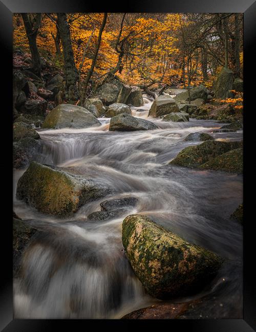 Padley Gold Framed Print by Paul Andrews