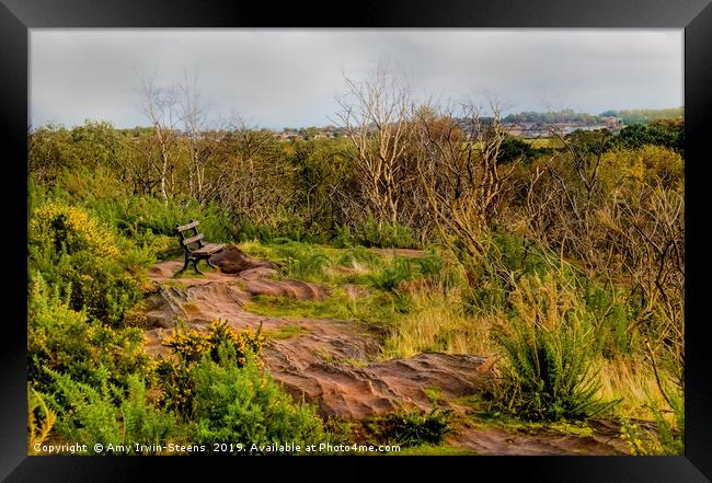 Thurstaston Hill View Point Framed Print by Amy Irwin-Steens