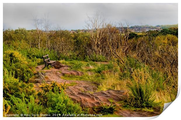 Thurstaston Hill View Point Print by Amy Irwin-Steens
