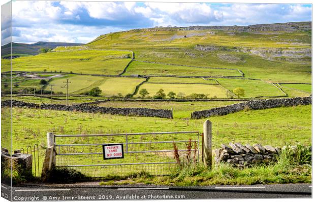 Yorkshire Greens Canvas Print by Amy Irwin-Steens
