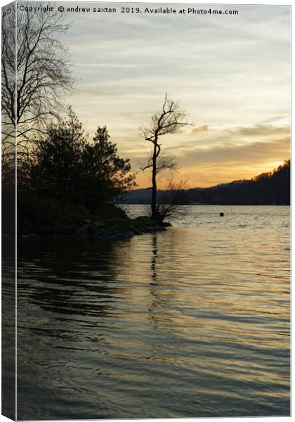 TREE SUNSET Canvas Print by andrew saxton