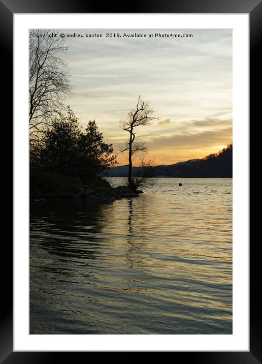 TREE SUNSET Framed Mounted Print by andrew saxton