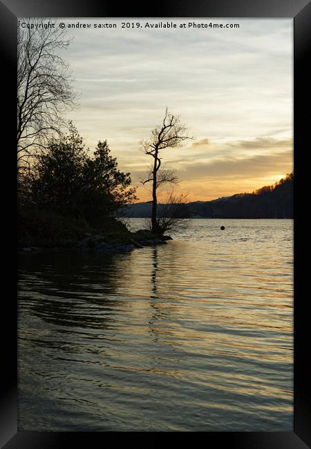 TREE SUNSET Framed Print by andrew saxton
