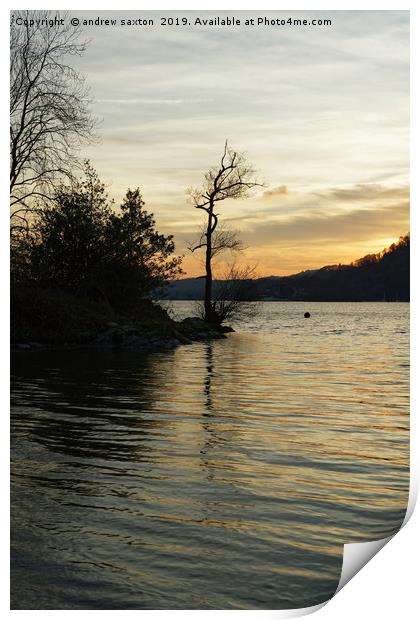 TREE SUNSET Print by andrew saxton