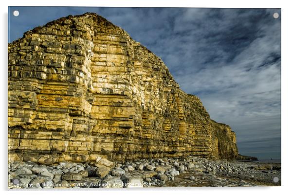 Cliffs at Llantwit Major Beach Glamorgan Coast Acrylic by Nick Jenkins