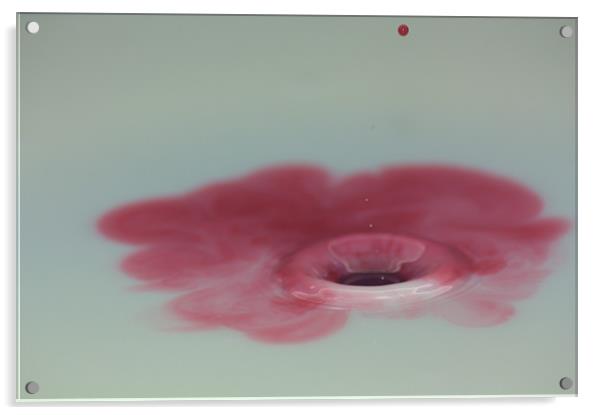 Milk Splash 2 - Eruption Acrylic by Lucy Antony