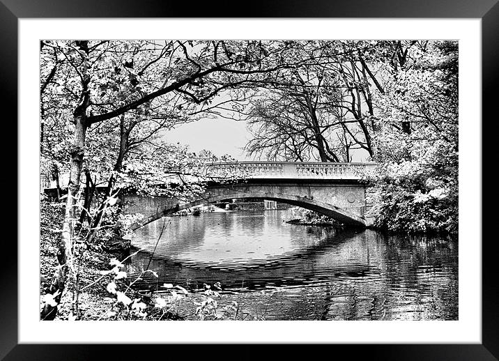 Stanley Park Bridge ~ Infra Red ~ Framed Mounted Print by Sandi-Cockayne ADPS