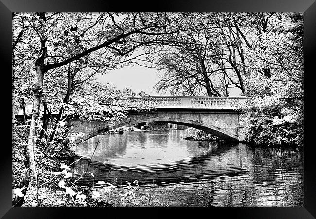 Stanley Park Bridge ~ Infra Red ~ Framed Print by Sandi-Cockayne ADPS