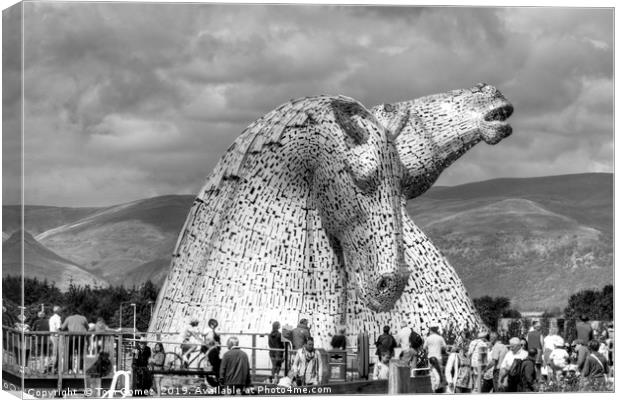 Come see the Kelpies - B&W Canvas Print by Tom Gomez