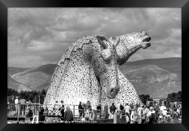 Come see the Kelpies - B&W Framed Print by Tom Gomez