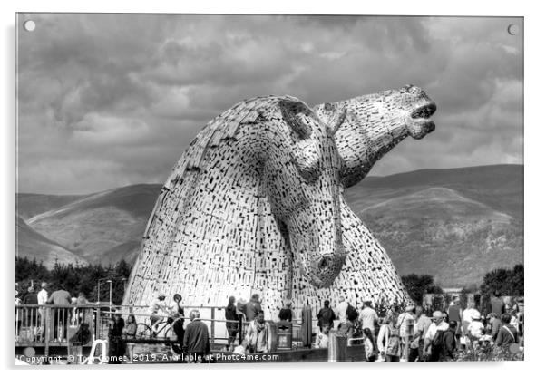 Come see the Kelpies - B&W Acrylic by Tom Gomez
