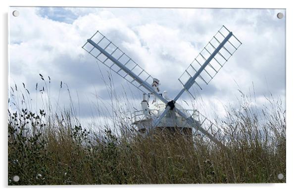 Cley Windmill Acrylic by Sheryl Brown