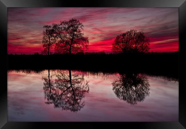 Tree Reflection at Sunset on Norfolk Broads Framed Print by Paul Macro