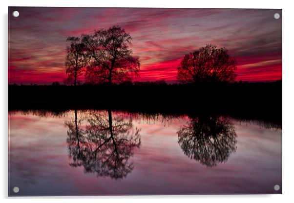 Tree Reflection at Sunset on Norfolk Broads Acrylic by Paul Macro