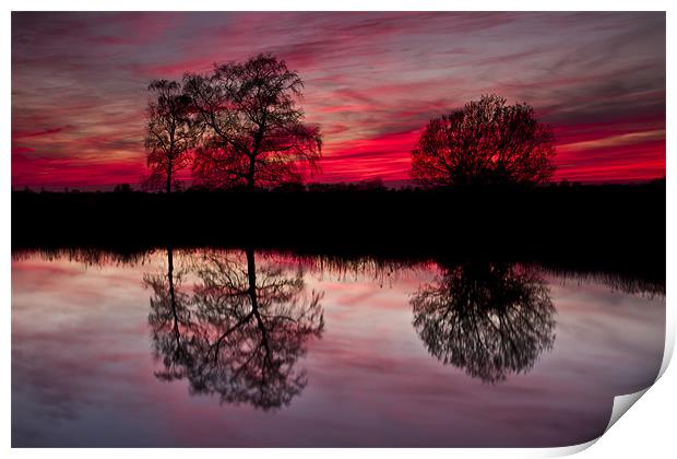 Tree Reflection at Sunset on Norfolk Broads Print by Paul Macro