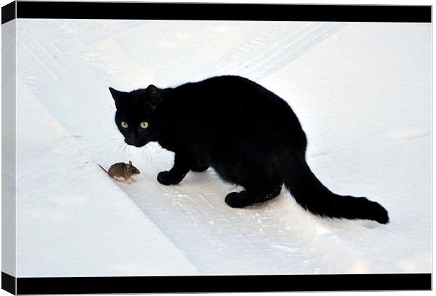 Cat Mouse together Canvas Print by Kerim Mehmet
