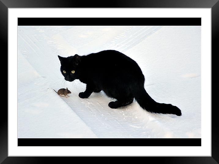 Cat Mouse together Framed Mounted Print by Kerim Mehmet