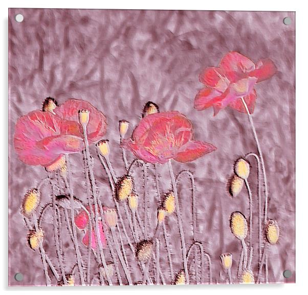 Poppy Art. Acrylic by paulette hurley