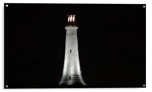 Ulverston Hoad Monument at Night Acrylic by Paul Leviston