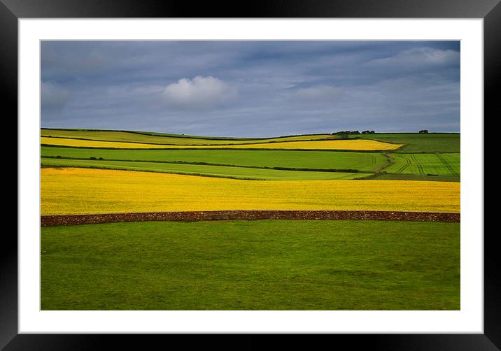 Fields at the bottom of St Bees Head, Cumbria Framed Mounted Print by David Bigwood