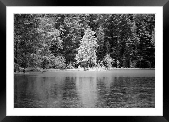 Frosted Trees by Frozen Lake Framed Mounted Print by Taina Sohlman