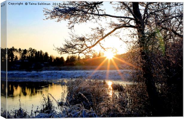 Winter Sunset at Pernionjoki River  Canvas Print by Taina Sohlman