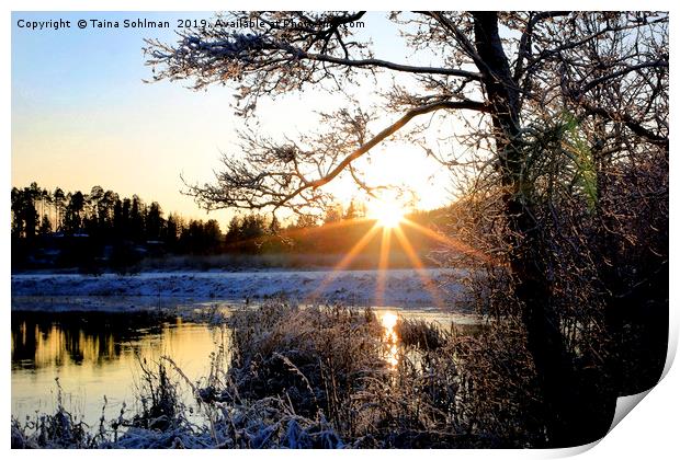 Winter Sunset at Pernionjoki River  Print by Taina Sohlman