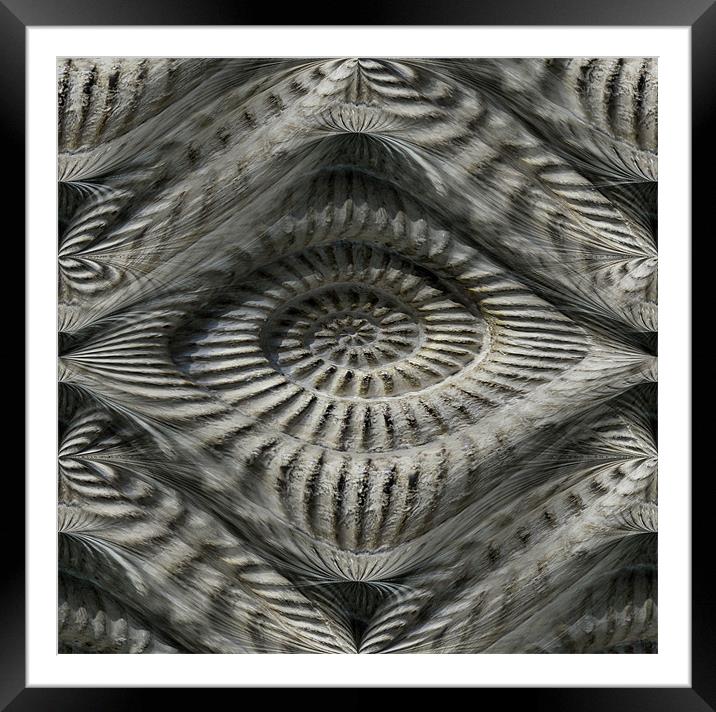 ammonite illusion Framed Mounted Print by Heather Newton