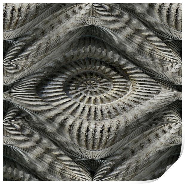 ammonite illusion Print by Heather Newton