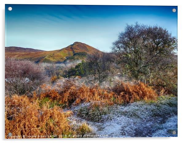 Winter on Inchcailloch, Loch Lomond - Conic Hill Acrylic by yvonne & paul carroll