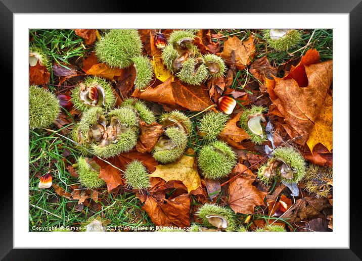 Autumn Picture Framed Mounted Print by Simon Annable