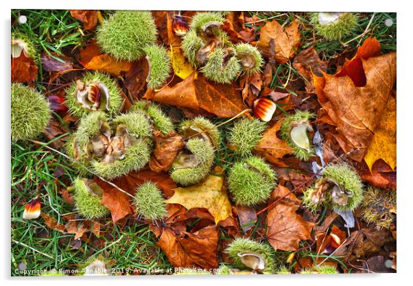 Autumn Picture Acrylic by Simon Annable