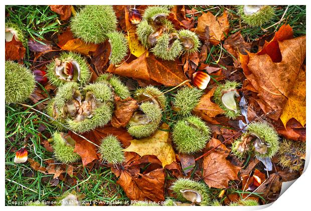 Autumn Picture Print by Simon Annable