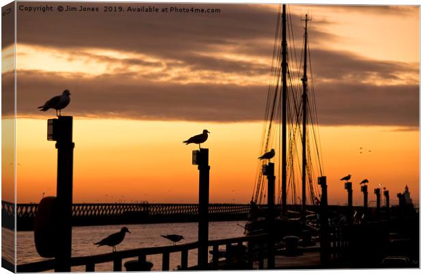 Several silhouetted seagulls at Sunrise Canvas Print by Jim Jones